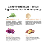 This infographic presents the bioactive ingredients in the all-natural formula, including Vitamin D3, Vitamin K2, Resveratrol, Vitamin A working synergistically to create Melts® into Natural Vitamin D3.